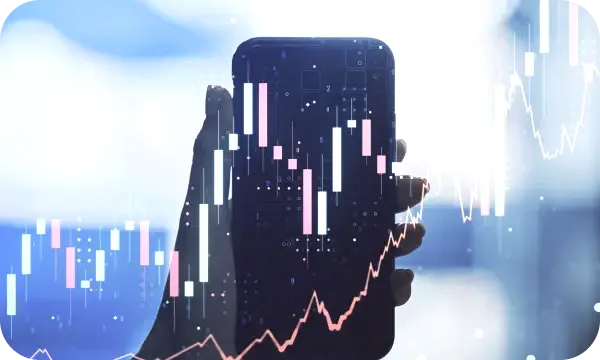 Wealthvale automated trading processes